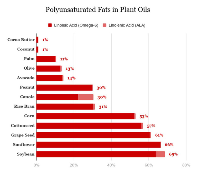 Chiropractic Kirkwood MO Polyunsaturdated Fats in Seeds